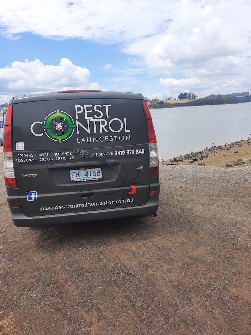 Pest Control Launceston pest control work in Kings Meadows