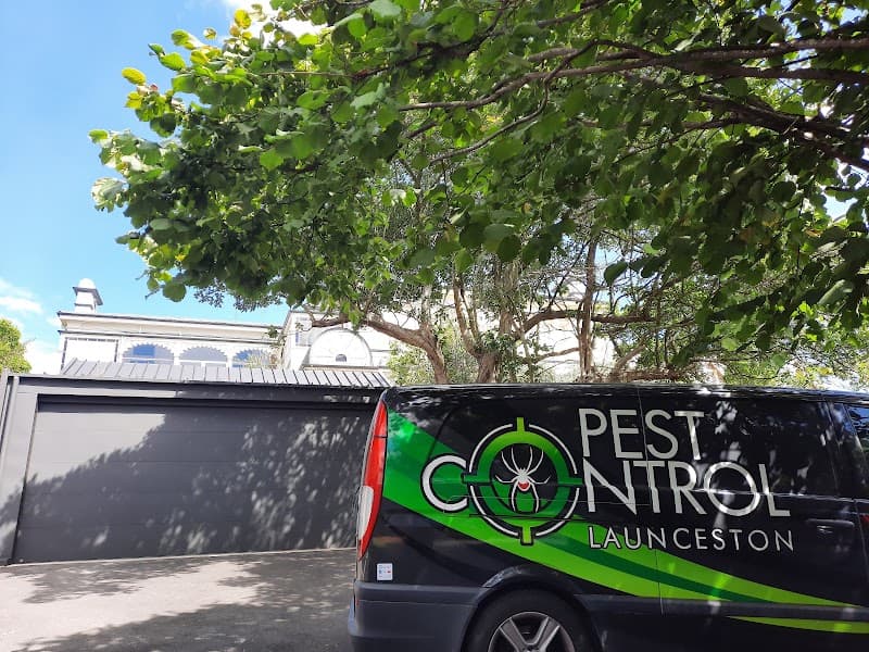 Pest Control Launceston pest control work in Kings Meadows