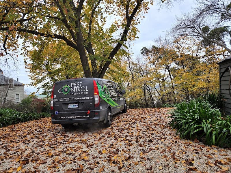 Pest Control Launceston pest control work in Kings Meadows