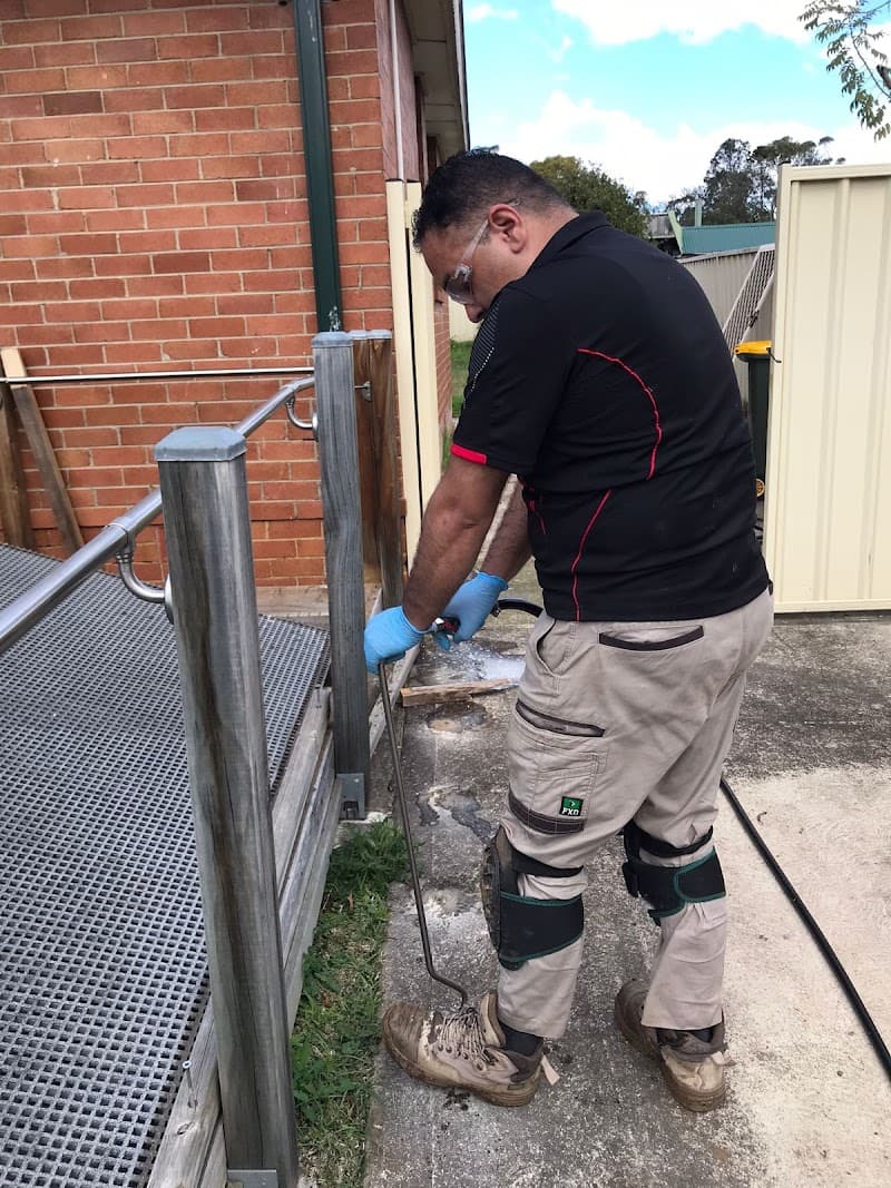 Pest Control Services NSW pest control work in Mount Druitt