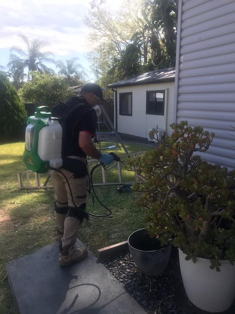 Pest Control Services NSW pest control work in Mount Druitt