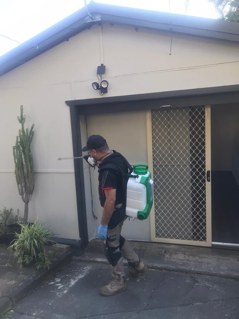 Pest Control Services NSW pest control work in Mount Druitt
