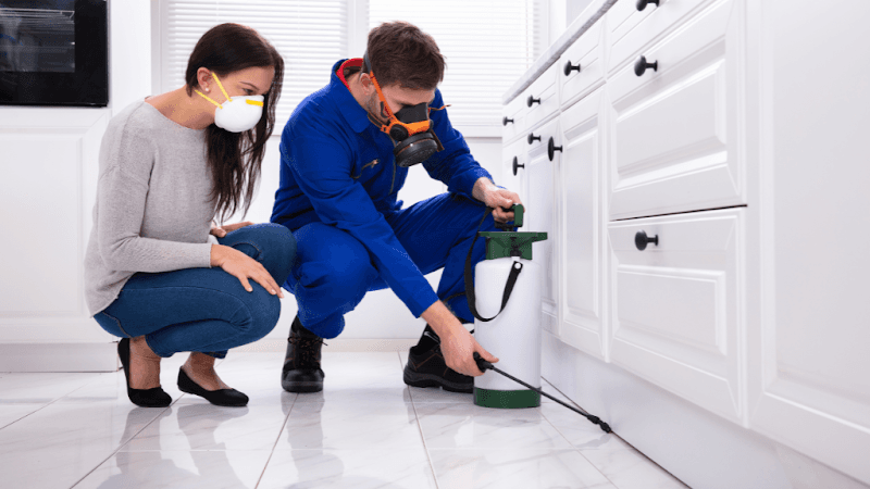 Pest Control Specialist pest control work in Keysborough