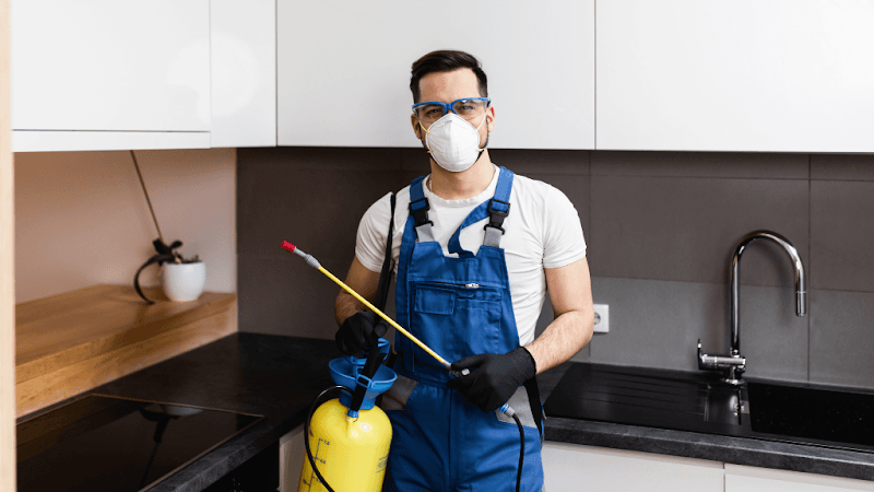 Pest Control Specialist pest control work in Keysborough
