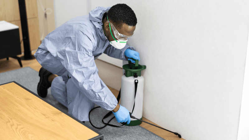 Pest Control Specialist pest control work in Keysborough