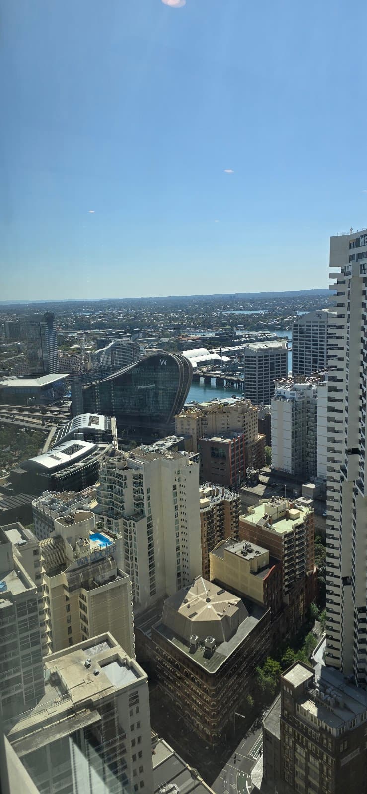 Pest Control Sydney NSW pest control work in Sydney
