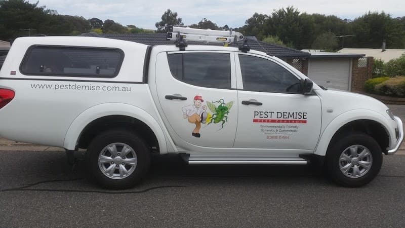 Pest Demise pest control work in Nairne
