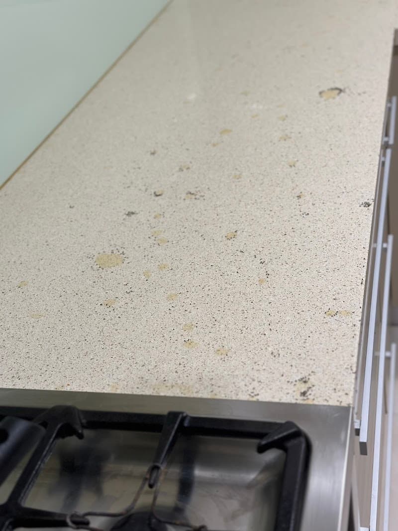 Pest Disturbers Pty. Ltd pest control work in St Kilda