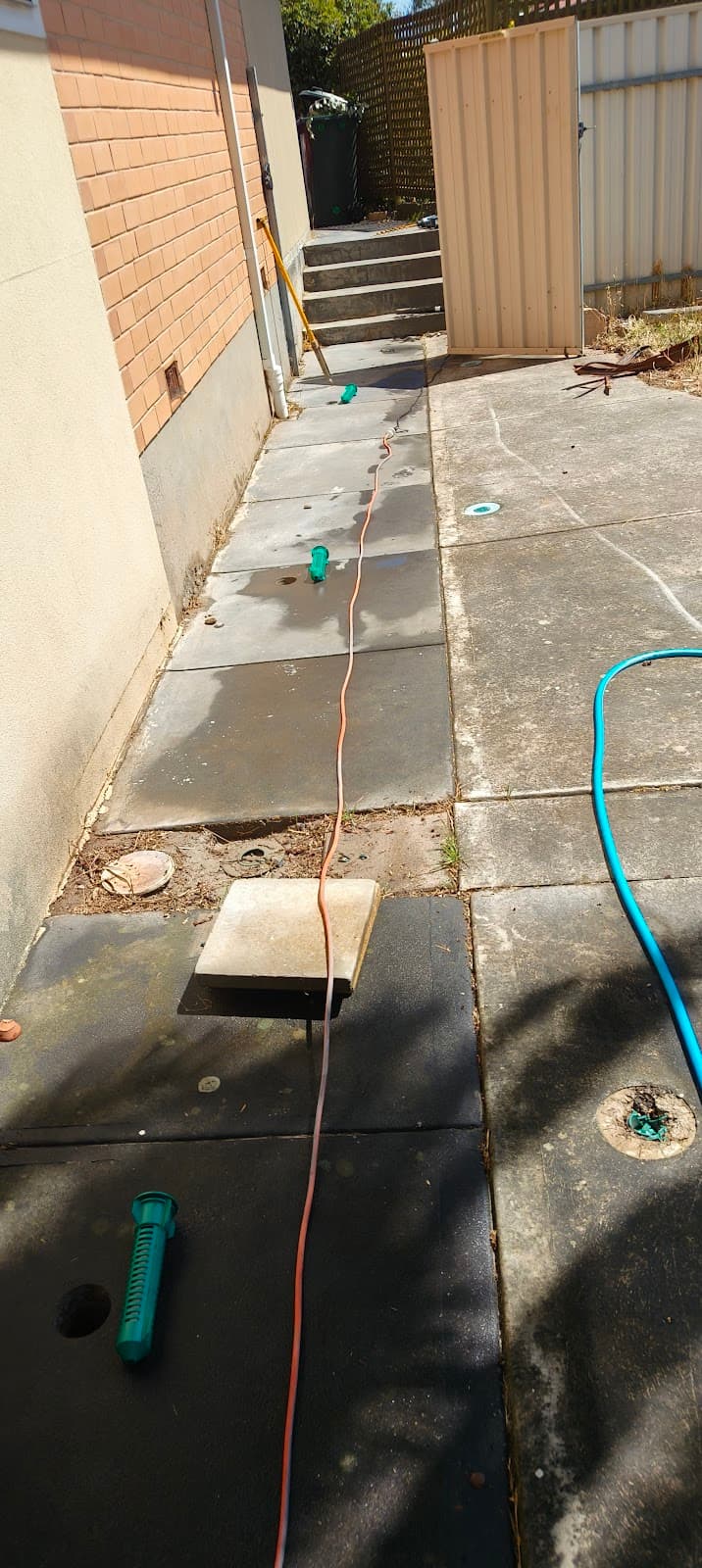 Pest Free Adelaide (Pest Control) pest control work in Eyre