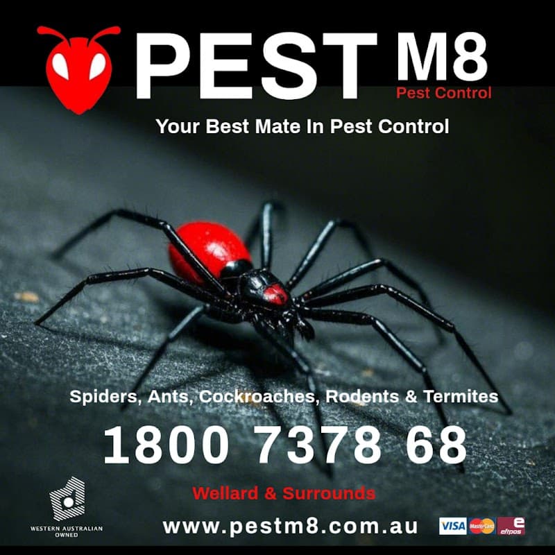 Pest M8 Pest Control pest control work in Wellard