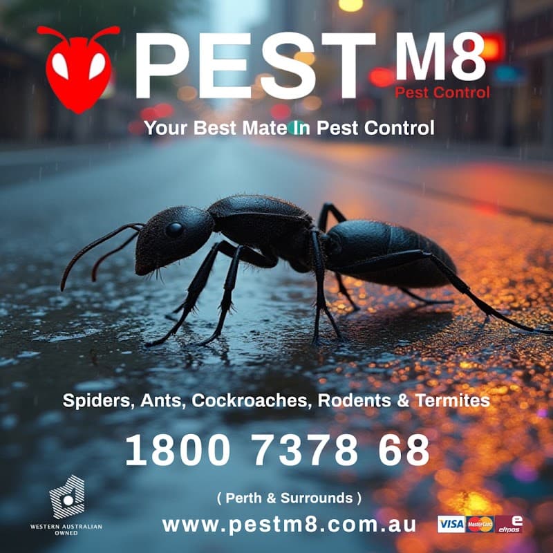 Pest M8 Pest Control pest control work in Wellard