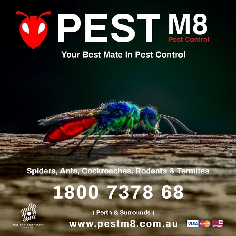 Pest M8 Pest Control pest control work in Wellard