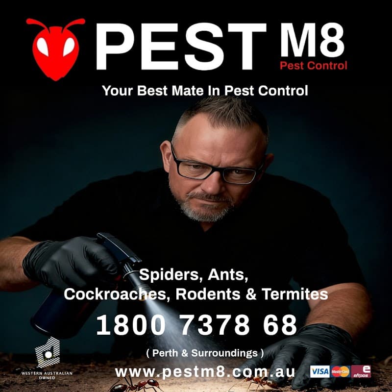 Pest M8 Pest Control pest control work in Wellard