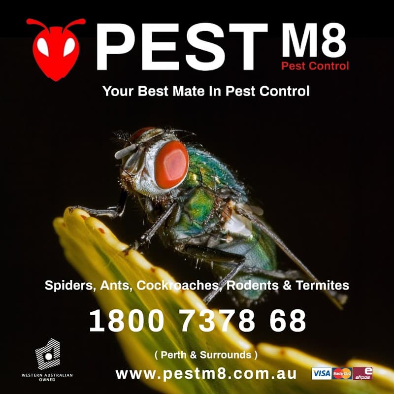Pest M8 Pest Control pest control work in Wellard