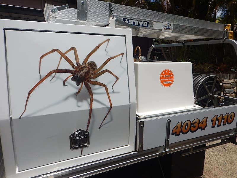 Pest Off Solutions Pest Control Cairns pest control work in Brinsmead