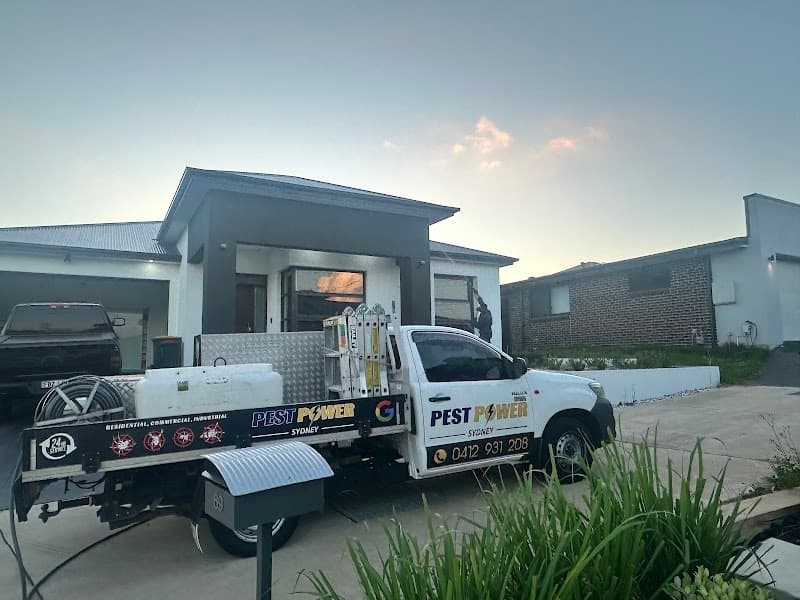 Pest Power Sydney | General Pest Control and Termite Treatment Specialist pest control work in Surry Hills