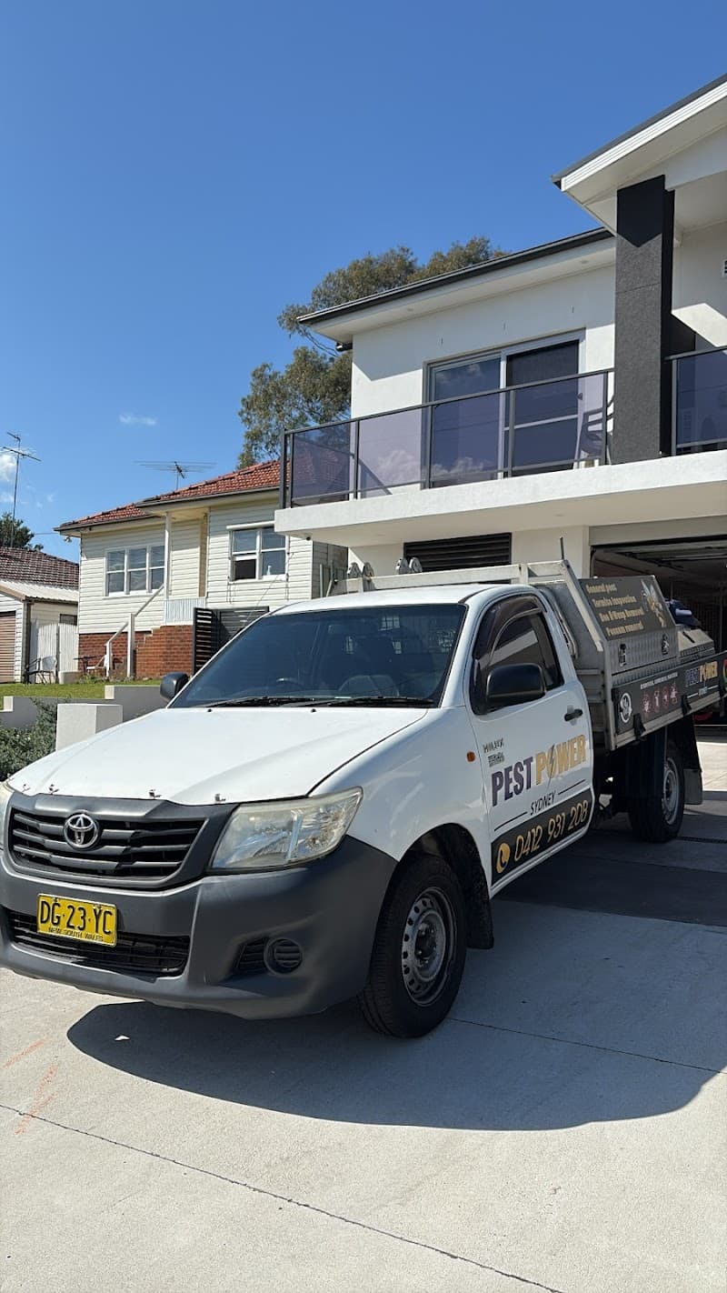 Pest Power Sydney | General Pest Control and Termite Treatment Specialist pest control work in Surry Hills