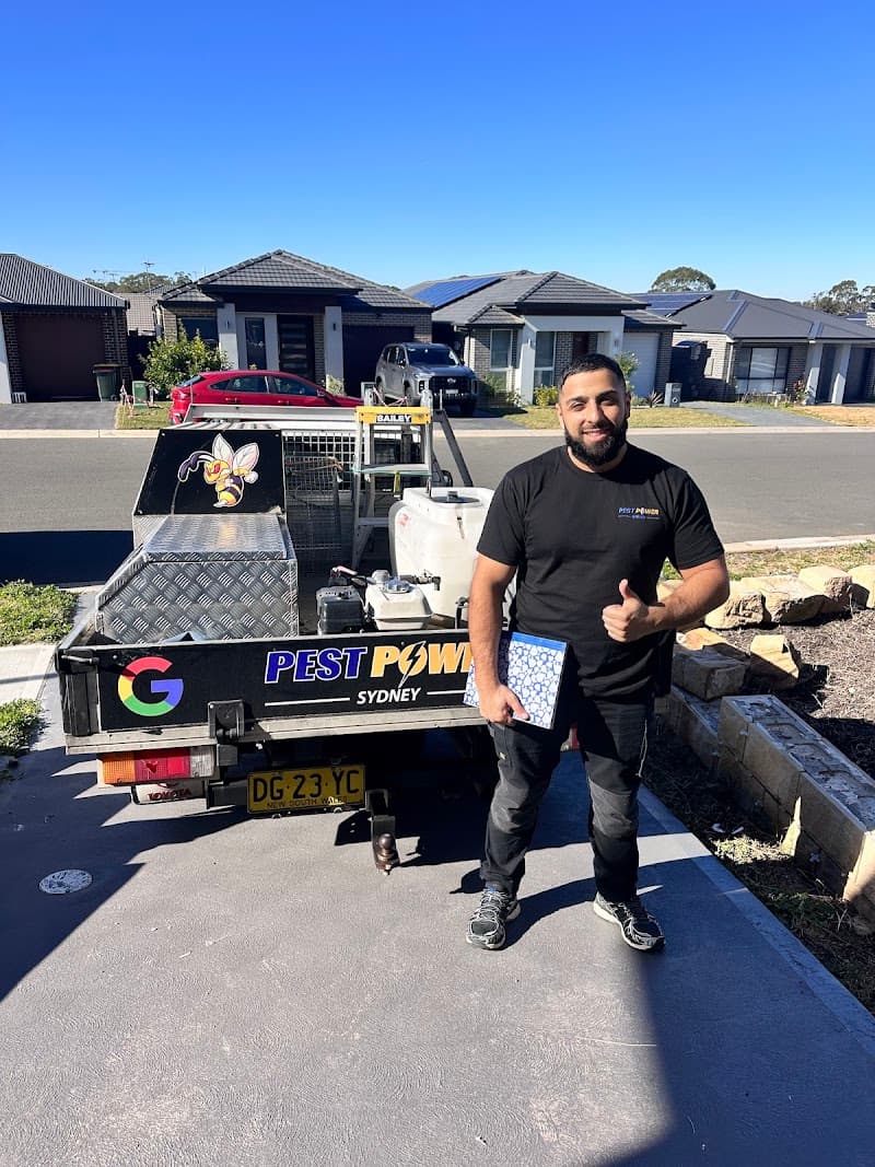 Pest Power Sydney | General Pest Control and Termite Treatment Specialist pest control work in Surry Hills