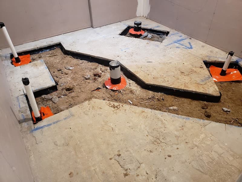 Pest Proofing Solutions pest control work in Spring Mountain
