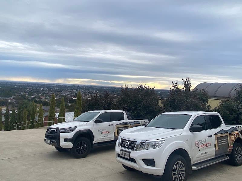 Pest Protect Australia pest control work in Hindmarsh