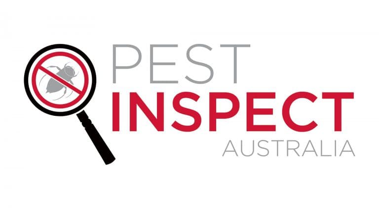 Pest Protect Australia pest control work in Hindmarsh