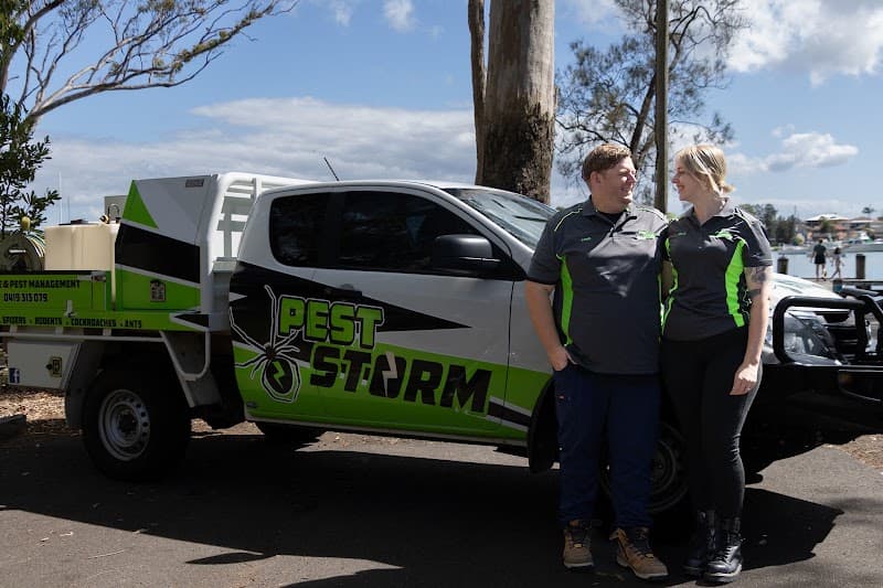 Pest Storm pest control work in Summerland Point
