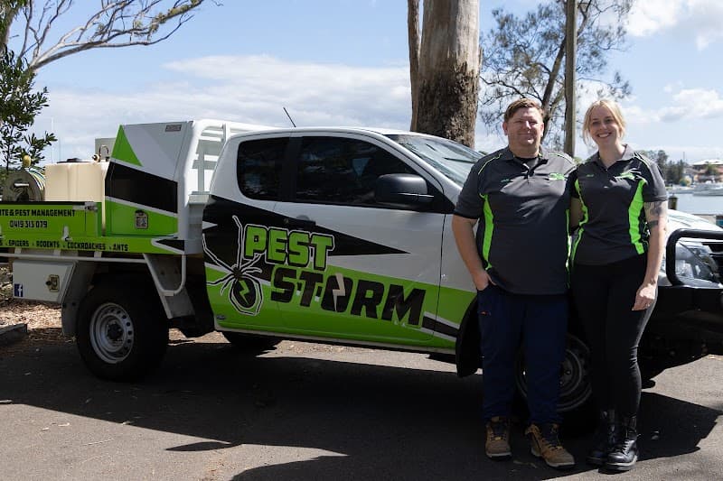 Pest Storm pest control work in Summerland Point