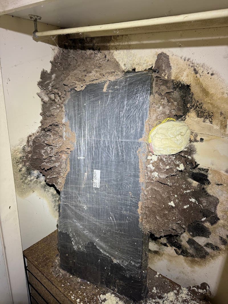 Pest Storm pest control work in Summerland Point