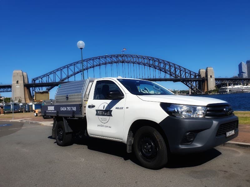 Pest2Kill pest control work in Sydney