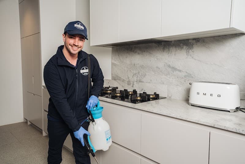 Pest2Kill pest control work in Sydney