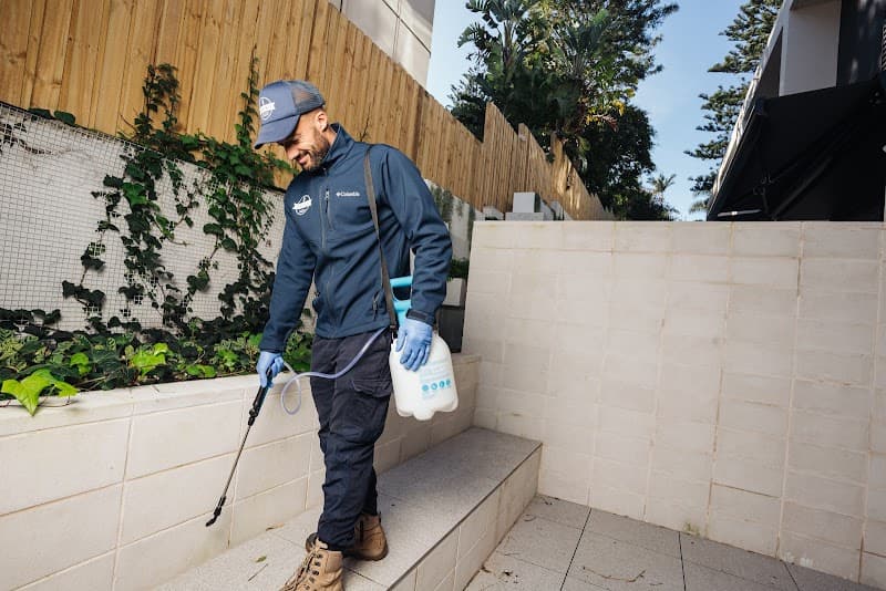Pest2Kill pest control work in Sydney