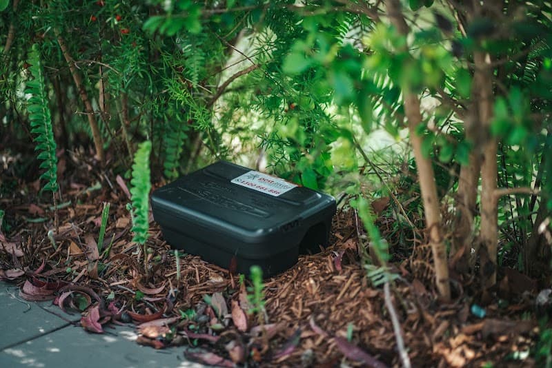 Pestaway Sydney pest control work in Zetland