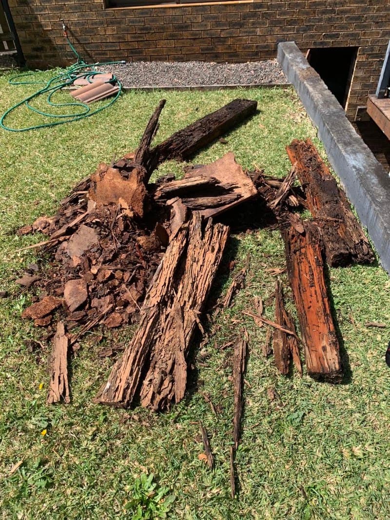 Pestfix Pest Management pest control work in Woronora