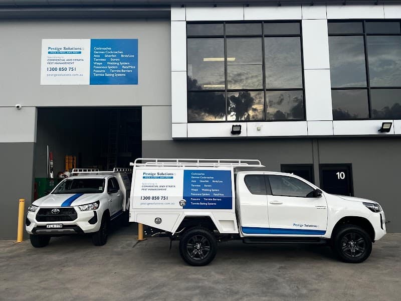 Pestige Solutions pest control work in Caringbah