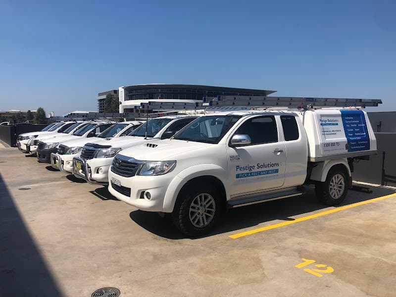 Pestige Solutions pest control work in Caringbah