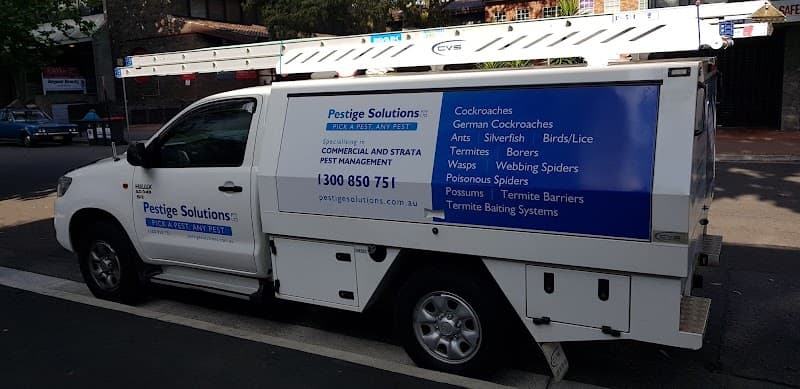 Pestige Solutions pest control work in Caringbah