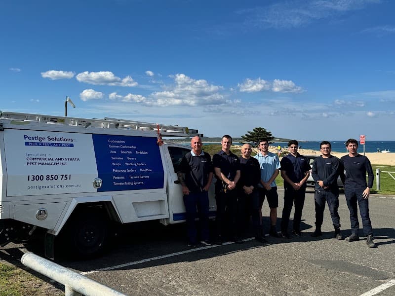 Pestige Solutions pest control work in Caringbah