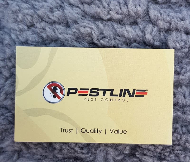 Pestline Pest Control pest control work in Frankston North