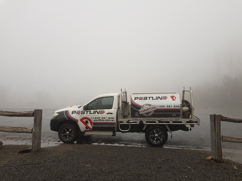 Pestline Pest Control pest control work in Frankston North