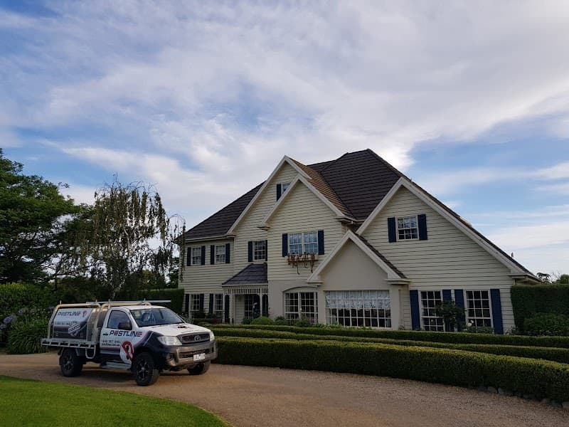 Pestline Pest Control pest control work in Frankston North