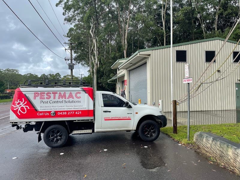 Pestmac Pest Control Solutions pest control work in Holgate