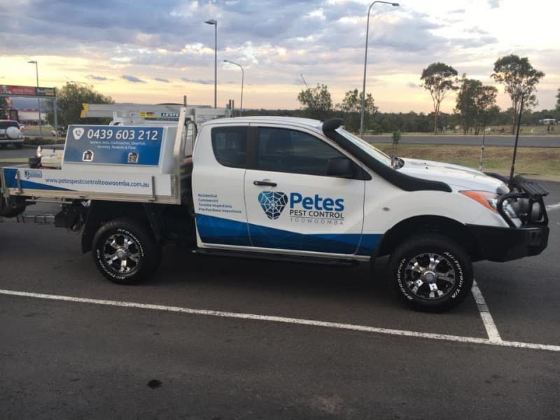Pete’s Pest Control Toowoomba | Local Pest Control pest control work in Harristown