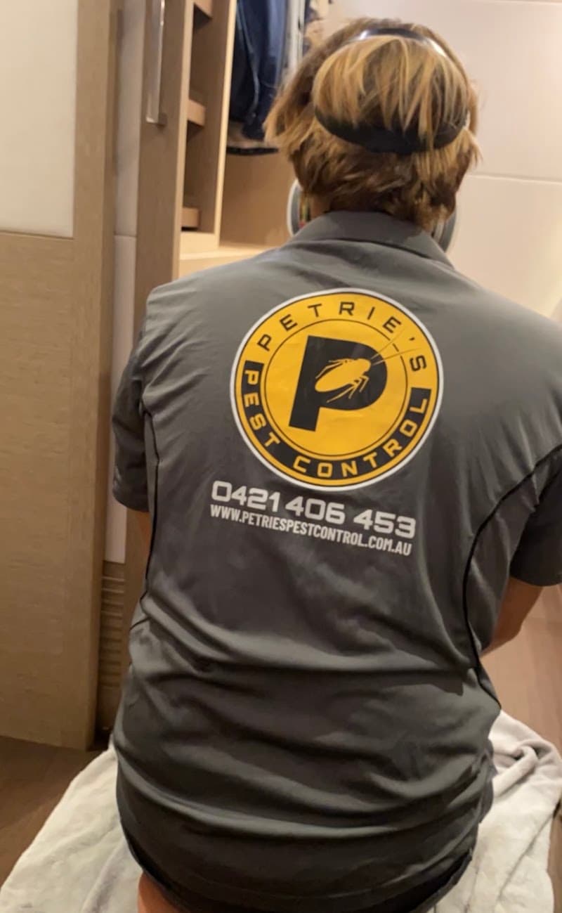 Petrie's Pest Control pest control work in North Manly