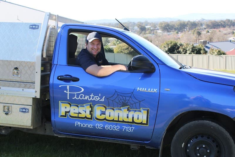 Pianto’s Pest Control pest control work in Wodonga