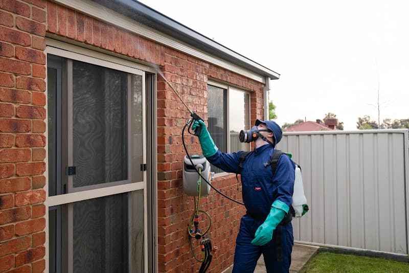 Pianto’s Pest Control pest control work in Wodonga