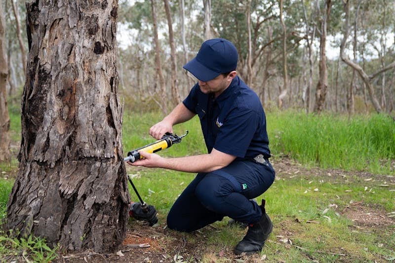 Pianto’s Pest Control pest control work in Wodonga