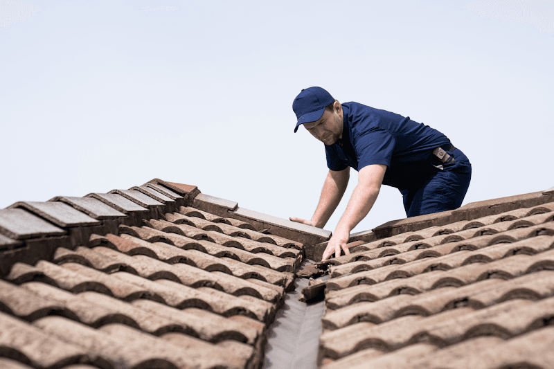Pianto’s Pest Control pest control work in Wodonga