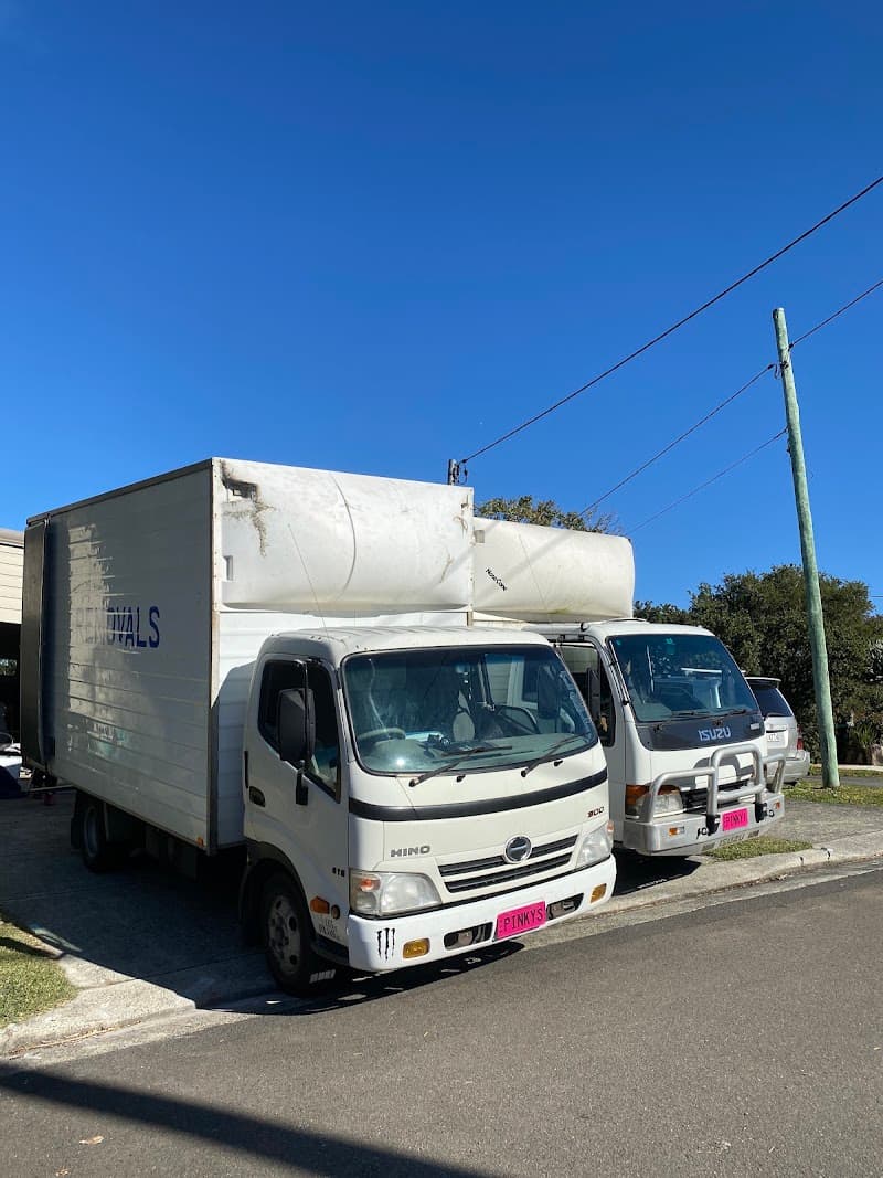 Pinkys Removals removalist work in Taren Point