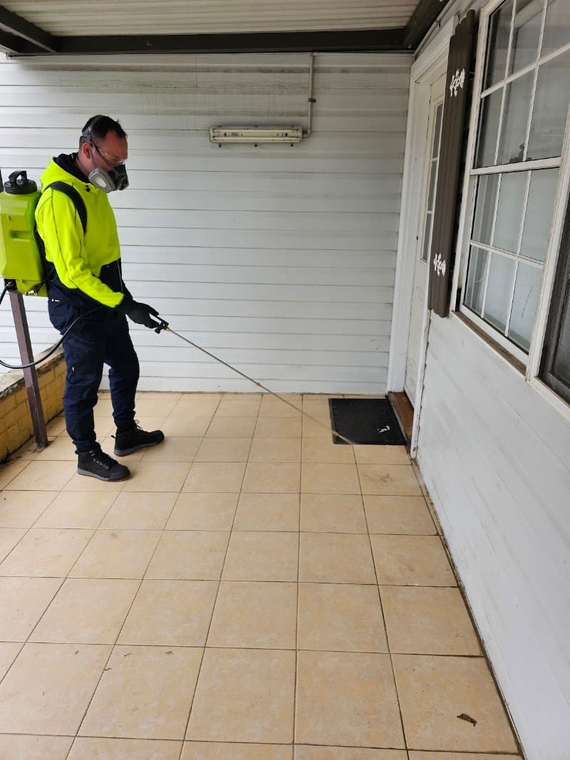 Pinpoint Pest Control pest control work in Merrylands