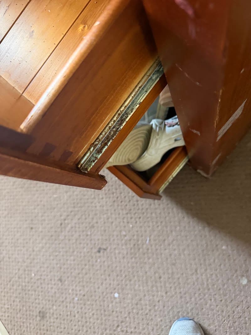 Pk premium pest control pest control work in Rydalmere